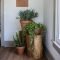 Diy Indoor Plant Display Ideas01