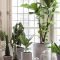 Diy Indoor Plant Display Ideas05