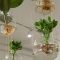 Diy Indoor Plant Display Ideas10