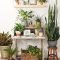 Diy Indoor Plant Display Ideas11