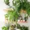 Diy Indoor Plant Display Ideas18
