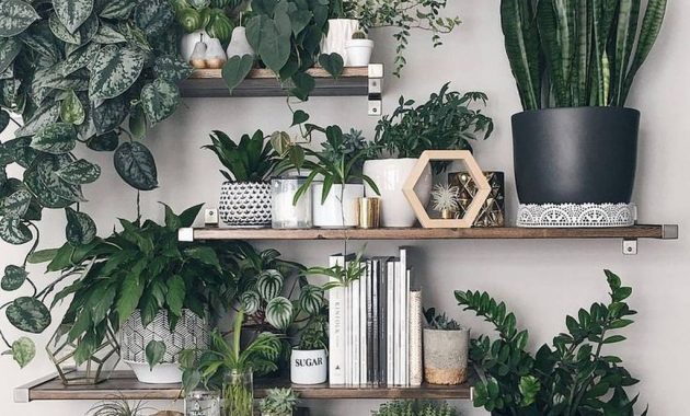 37 Diy Indoor Plant Display Ideas - BESTHOMISH