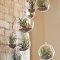 Diy Indoor Plant Display Ideas25