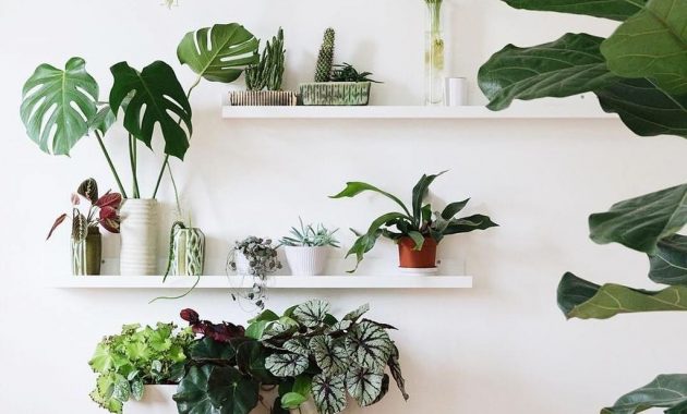 37 Diy Indoor Plant Display Ideas - BESTHOMISH