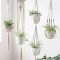 Diy Indoor Plant Display Ideas29