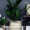 Diy Indoor Plant Display Ideas35