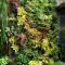 Minimalist Creative Garden Ideas To Enhance Your Small House Beautiful20