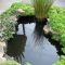 Fabulous Fish Pond Design Ideas For Your Home Yard22