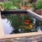 Fabulous Fish Pond Design Ideas For Your Home Yard30