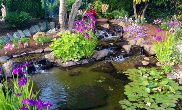 41 Fabulous Fish Pond Design Ideas For Your Home Yard - BESTHOMISH