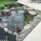 Fabulous Fish Pond Design Ideas For Your Home Yard36