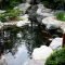 Fabulous Fish Pond Design Ideas For Your Home Yard37