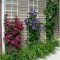 Astonishing Backyard Landscaping Ideas With Flower To Try30