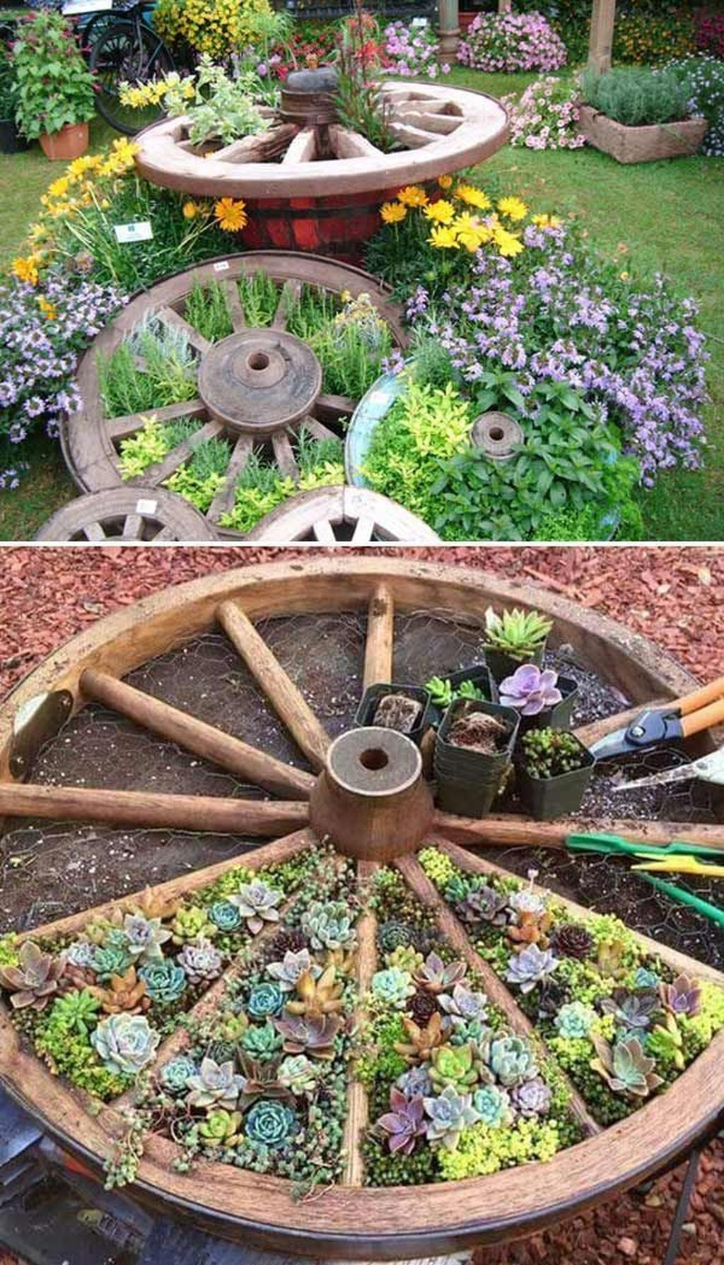 gardening besthomish succulent recycle divided suporturi rotunde gradina herbs planters idei plantele homedesigninspired founterior myyhomedecor tricksbeauty