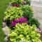 Creative Gardening Design Ideas On A Budget To Try13