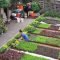 Creative Gardening Design Ideas On A Budget To Try34