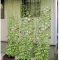 Fantastic Outdoor Vertical Garden Ideas For Small Space05