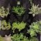 Fantastic Outdoor Vertical Garden Ideas For Small Space30