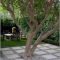 Fascinating Side Yard And Backyard Gravel Garden Design Ideas That Looks Cool46