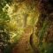 Incredibly Magical Tree Tunnels Worldwide You Must Walk Through Them20