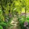 Incredibly Magical Tree Tunnels Worldwide You Must Walk Through Them21