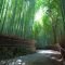 Incredibly Magical Tree Tunnels Worldwide You Must Walk Through Them23