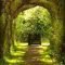 Incredibly Magical Tree Tunnels Worldwide You Must Walk Through Them34