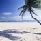 Of The Most Attractive White Sand Beaches You Must See36