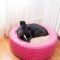 Diy Pet Bed Ideas28