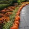 Helpful Tips For Autumn Update Of Your Garden39
