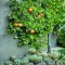 Ideas For Your Garden From The Mediterranean Landscape Design04