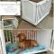 Inspirational Ways How To Repurpose Old Babys Cribs42