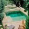 Luxury And Elegant Backyard Pool06
