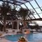 Luxury And Elegant Backyard Pool15