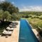Luxury And Elegant Backyard Pool30