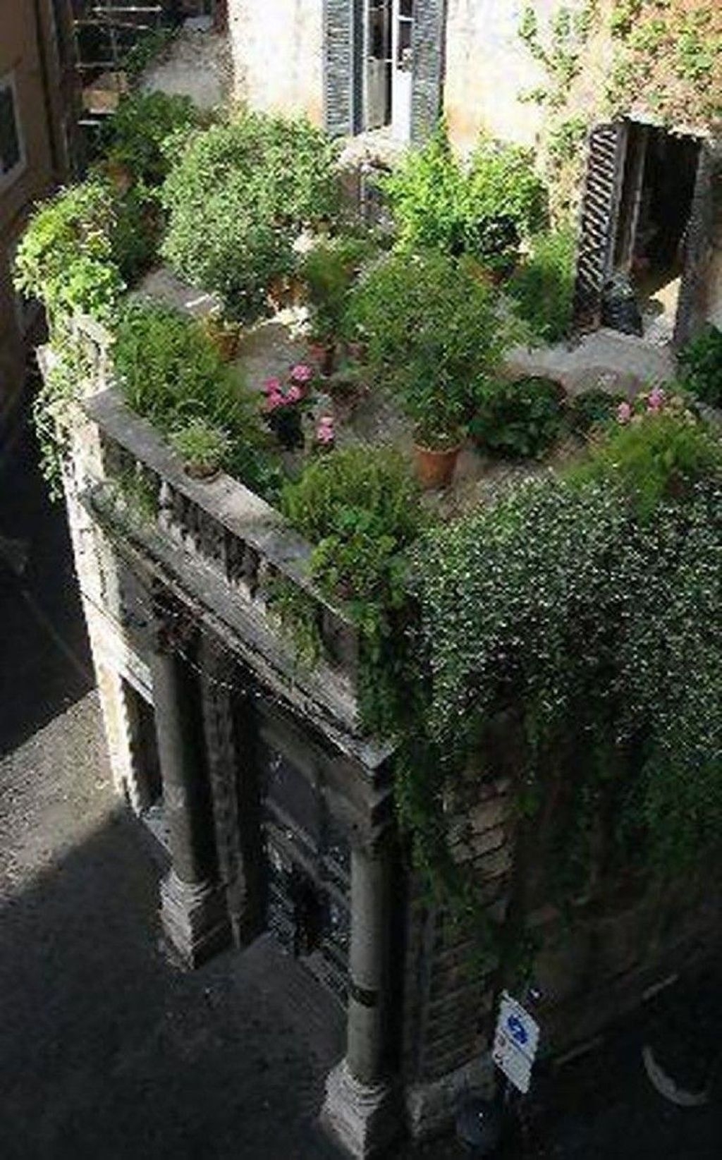 Most Popular And Beautiful Rooftop Garden20