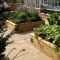 Most Popular And Beautiful Rooftop Garden23