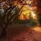 Soothing Autumn Landscape Ideas For This Season02