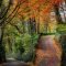 Soothing Autumn Landscape Ideas For This Season03