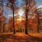 Soothing Autumn Landscape Ideas For This Season16