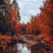 Soothing Autumn Landscape Ideas For This Season17