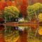 Soothing Autumn Landscape Ideas For This Season21