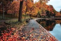 Soothing Autumn Landscape Ideas For This Season22