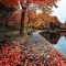 Soothing Autumn Landscape Ideas For This Season22