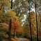 Soothing Autumn Landscape Ideas For This Season26