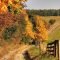 Soothing Autumn Landscape Ideas For This Season27