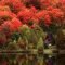 Soothing Autumn Landscape Ideas For This Season29