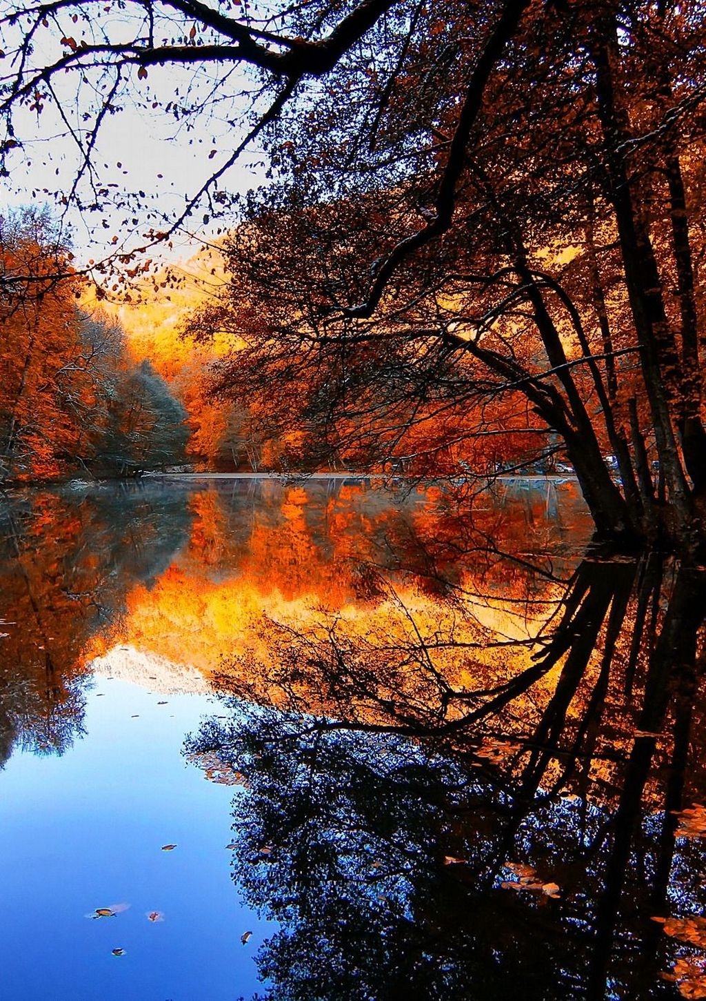 Отражение Осени В Воде Фото