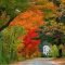 Soothing Autumn Landscape Ideas For This Season33