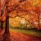 Soothing Autumn Landscape Ideas For This Season35